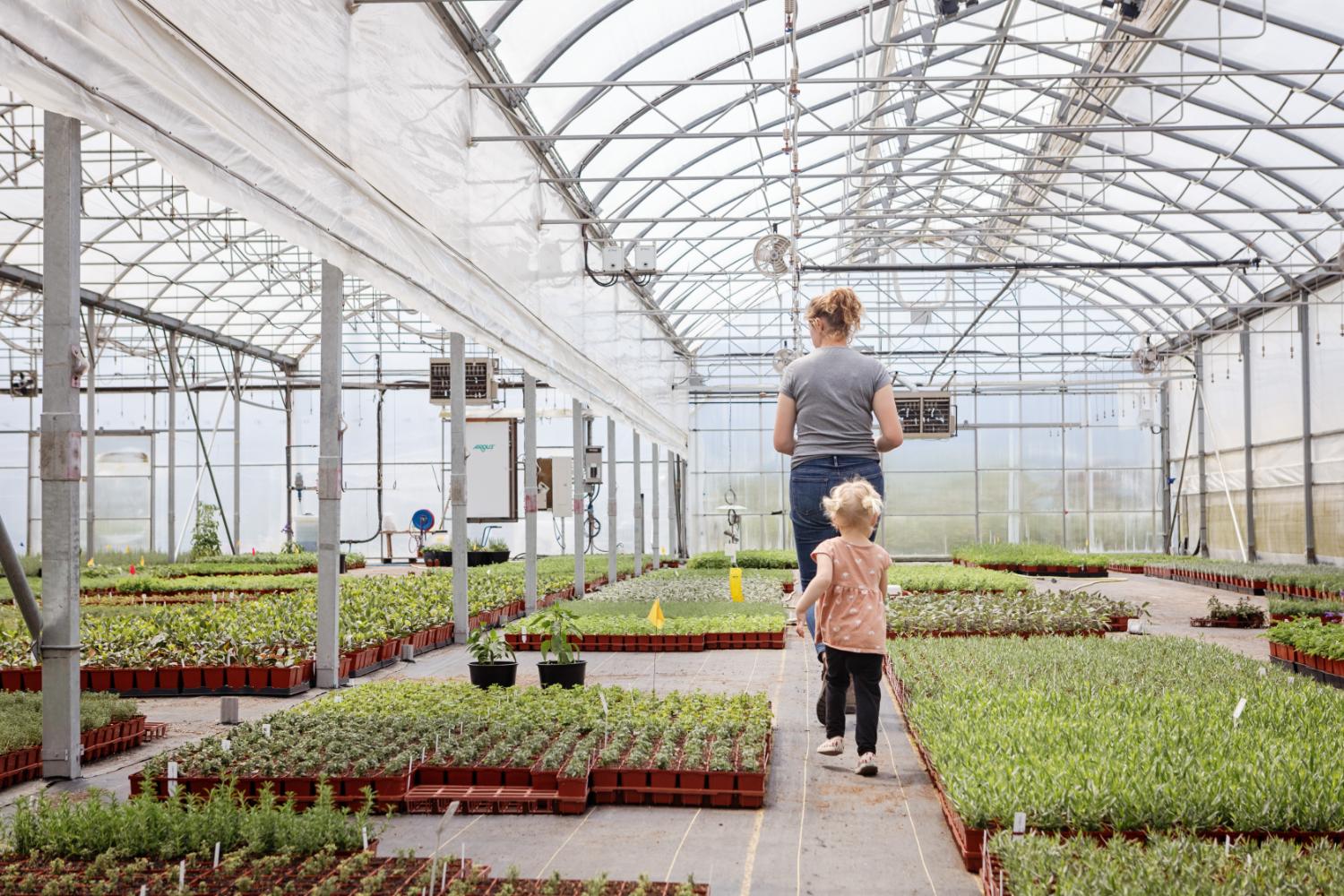 Chilliwack Wholesale Herbs - Fragro Plants